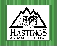 Link to Hastings Animal Hospital website